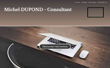 consultant